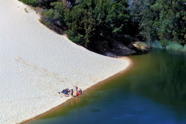 Fraser Island (K'gari) & Carnarvon Gorge - 7 Days